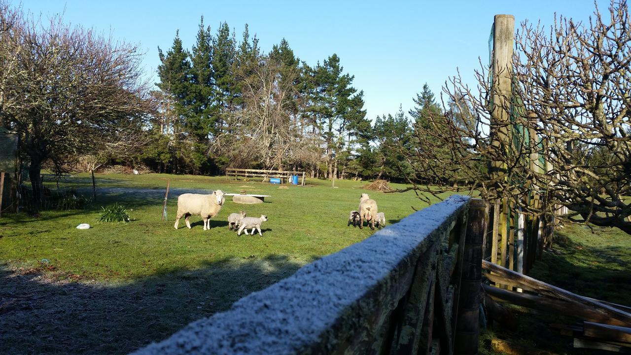 Woodbury Farm Takanini